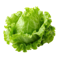 Fresh frillice iceberg lettuce displayed on a clean transparent background showcasing its crisp texture and vibrant color, Frillice Iceberg Lettuce on transparent background png