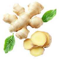 Fresh ginger root with slices and vibrant green leaves on a clean transparent background, ginger root slice and leaf on transparent background png