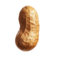 Closeup view of a single peanut isolated on a clean background, highlighting its textured shell and unique shape, Peanut isolated png