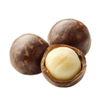 Isolated macadamia nuts on a clean transparent background showcasing their rich texture and creamy interior, Peeled macadamia nut isolated on transparent background png