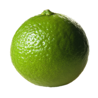 Fresh lime on a clean transparent background showcasing its vibrant green color and textured skin in a simple composition, lime on transparent background png