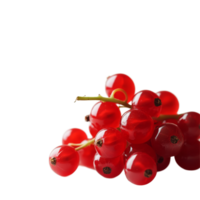 Fresh red currants on a transparent background, showcasing ripe fruit ready for culinary use and enjoyment, Fresh red currant fruit on a transparent background png
