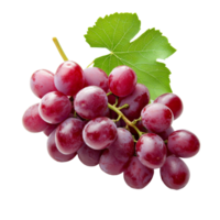Fresh red grapes on a transparent background showcasing their juicy texture and vibrant color, Red grapes isolated on transparent background png