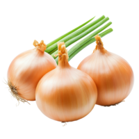 Fresh organic onions isolated on a transparent background with green stems for culinary use and recipes, Fresh organic onions transparent background. onions isolated on transparent background png