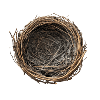 en enkel fåglar bo tillverkad av kvistar vilar på en transparent yta med en Rör av transparent, fåglar bo på en transparent bakgrund png