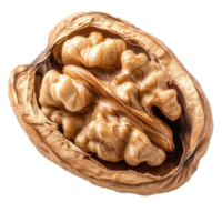Isolated walnut in its shell showcasing intricate textures and natural patterns on a neutral background, Isolated walnut in shell png