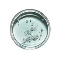 Clear liquid with bubbles in a petri dish on a transparent background, showcasing scientific experimentation and observation, Liquid in petri dish over transparent background flat lay png