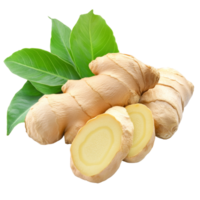 Fresh ginger root and green leaves isolated on a transparent background for culinary and health uses, Ginger fresh with leaves Isolated on transparent backgroundd png
