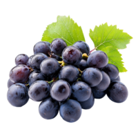 Fresh black grapes with green leaves set against a simple transparent background for an elegant appearance, grapes on transparent background png