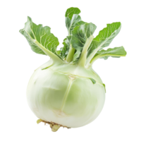 Fresh kohlrabi vegetable displayed on a plain transparent background showcasing its unique bulbous shape and leafy greens, Fresh kohlrabi vegetable on a transparent background png