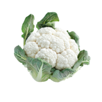 Fresh cauliflower head with green leaves isolated on a bright transparent background for culinary and healthfocused presentations, Cauliflower vegetables isolated on a transparent background png