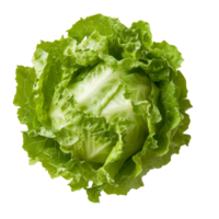Fresh Frillice Iceberg Lettuce on a clean transparent background ready for culinary use in salads and garnishes, fresh Frillice Iceberg Lettuce on transparent background png