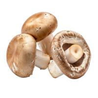 Fresh champignon mushrooms isolated with natural lighting on a clean transparent background, Fresh champignon mushrooms isolated on transparent background png