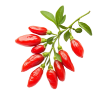 Goji berries arranged artistically on a bright transparent background for a fresh and vibrant presentation, Goji berries isolated on transparent background png