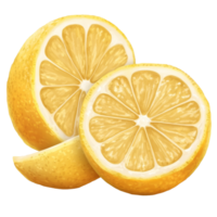 Freshly sliced lemon on a transparent background showcasing vibrant yellow color and juicy texture, lemon isolated on trransparent png