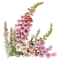 A vibrant arrangement of foxglove flowers showcasing delicate blossoms isolated on a clean background, foxglove flowers in a floral arrangement isolated on transparent background png