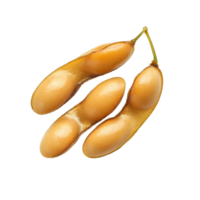 Isolated soybeans in a natural setting highlighting their unique shape and texture against a clean background, Soybeans isolated png