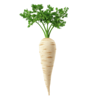 A fresh parsnip with vibrant green tops, ready for culinary use. png