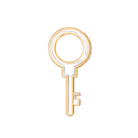 A minimalist key graphic design representing security and access. png