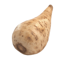 A fresh, organic parsnip with a unique shape and earthy texture for culinary uses. png