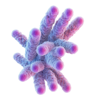 A vibrant, abstract representation of coral structures in diverse colors. png