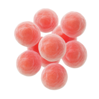Colorful microscopic view of bacteria showcasing unique spherical shapes and patterns. png