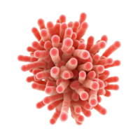 Colorful abstract representation of coral, showcasing its intricate structure and design. png