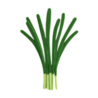 Fresh green onion bunch ready for culinary use, adding flavor and color to dishes. png