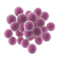 Microscopic view of pink spherical bacteria clusters in a lab environment. png