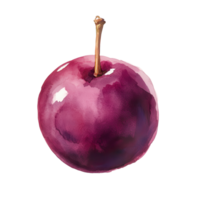 Vibrant purple plum with a glossy surface and a single stem showcasing freshness. png