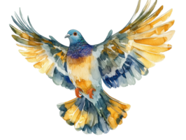 A Watercolor Painting Of A Pigeon In Flight. out png
