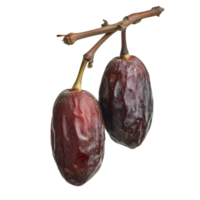 Two ripe dates on a branch against a black background png