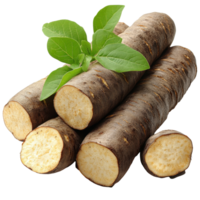 Fresh root vegetables arranged on a white background with green leaves for presentation isolated on transparent background png