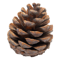 grand pin cône repos sur une surface avec Naturel textures et terreux couleurs offre rustique charme isolé sur transparent Contexte png