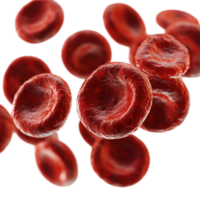 Red blood cells flowing freely in a microscopic view highlighting their unique structures and shapes isolated on transparent background png