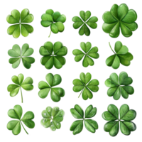Collection of various clover leaf designs illustrating different shapes and shades of green in a detailed botanical arrangement isolated on transparent background png
