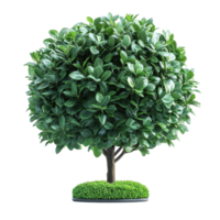 Decorative artificial tree with lush green leaves and realistic appearance displayed on a round base isolated on transparent background png