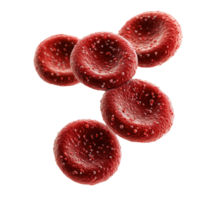 Close-up view of red blood cells showcasing their unique texture and structure in a scientific illustration isolated on transparent background png