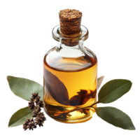 Decorative glass bottle with aromatic oil and bay leaves placed on a white background isolated on transparent background png