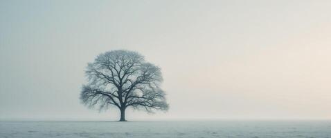 A desolate landscape with a single tree standing in the middle of a field. photo