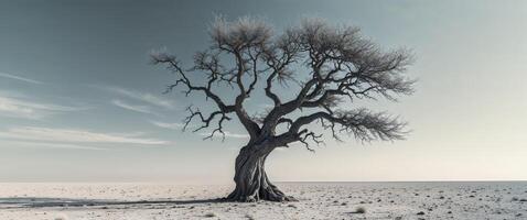 Resilient Tree in Arid Landscape Symbolizing Strength and Endurance with Clear Blue Sky Ideal for Inspirational Text and Messaging. photo