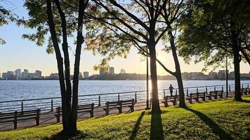 A girl running on an evening walk, Riverside Walkway with Benches and City View, A peaceful riverside walkway with benches under lush trees, video