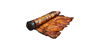 Rolled brown leather fabric with textured surface isolated on transparent background png