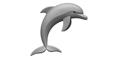 Gray dolphin illustration isolated on transparent background png