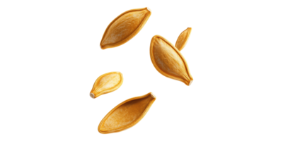 Floating pumpkin seeds isolated on transparent background png