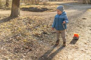 Happy baby child outdoor. Little toddler boy with toy car having fun on walk in park. Baby son smiling playing outdoor. Little child resting walking in nature. Little toddler child having fun on walk photo