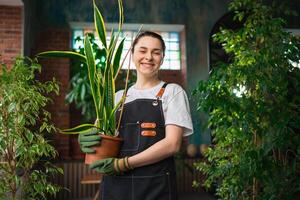 Running of own business. Young woman florist holding plant in pot wearing apron in botanical store. Happy small business owner working at flower shop smiling surrounded by plants. Small business photo