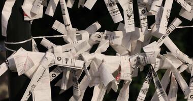 Oracles at Kanda shrine in Tokyo daytime closeup video