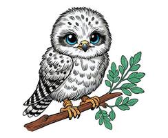 Kestrel color on a white background vector