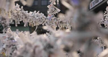Oracles at Kanda shrine in Tokyo daytime focusing video